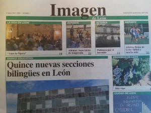 Imagen de león 1